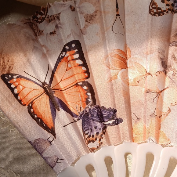 Beautiful fan - Picture 2 of 2